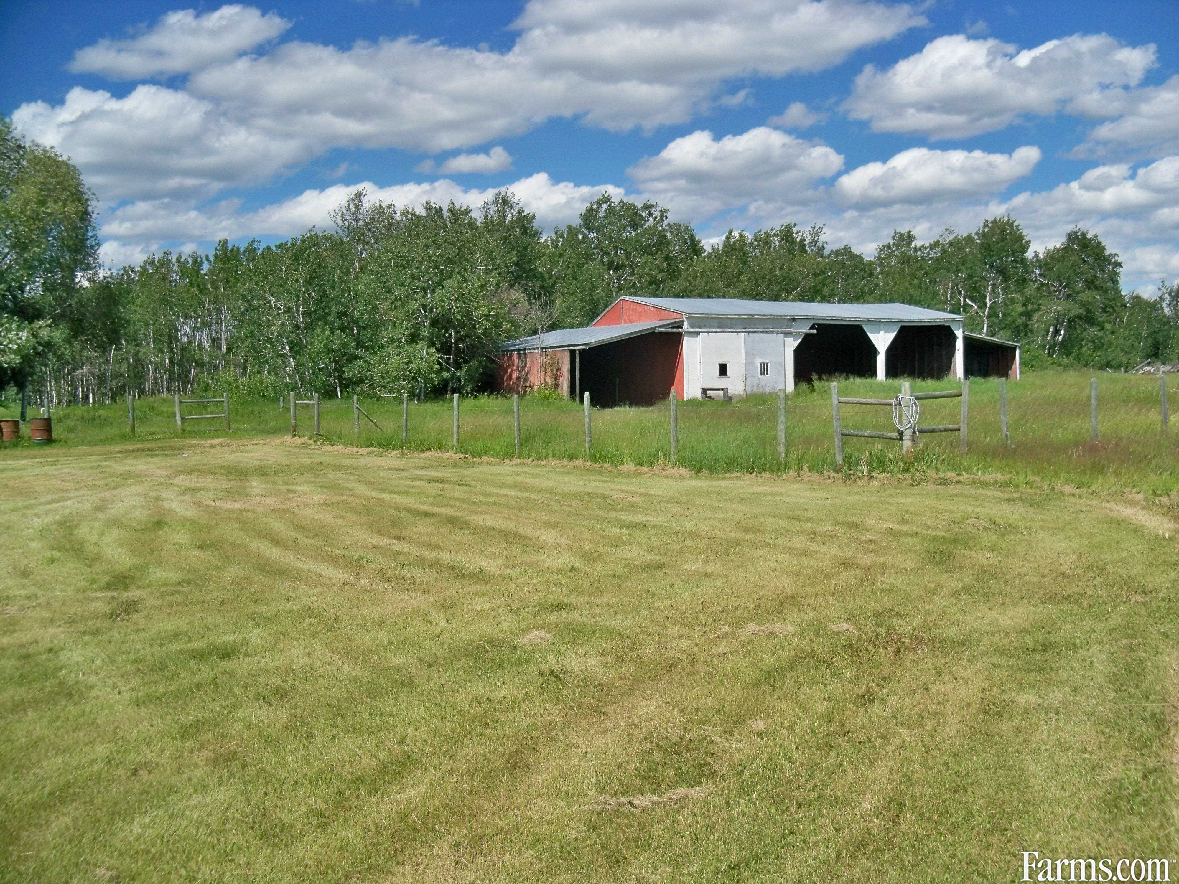 Hobby Farm for Sale, Gilbert Plains, Manitoba