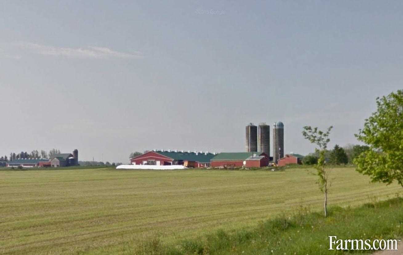 Dairy Farm for Sale, Moorefield, Ontario