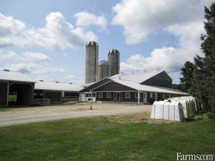 Dairy Farm for Sale, Meaford, Ontario