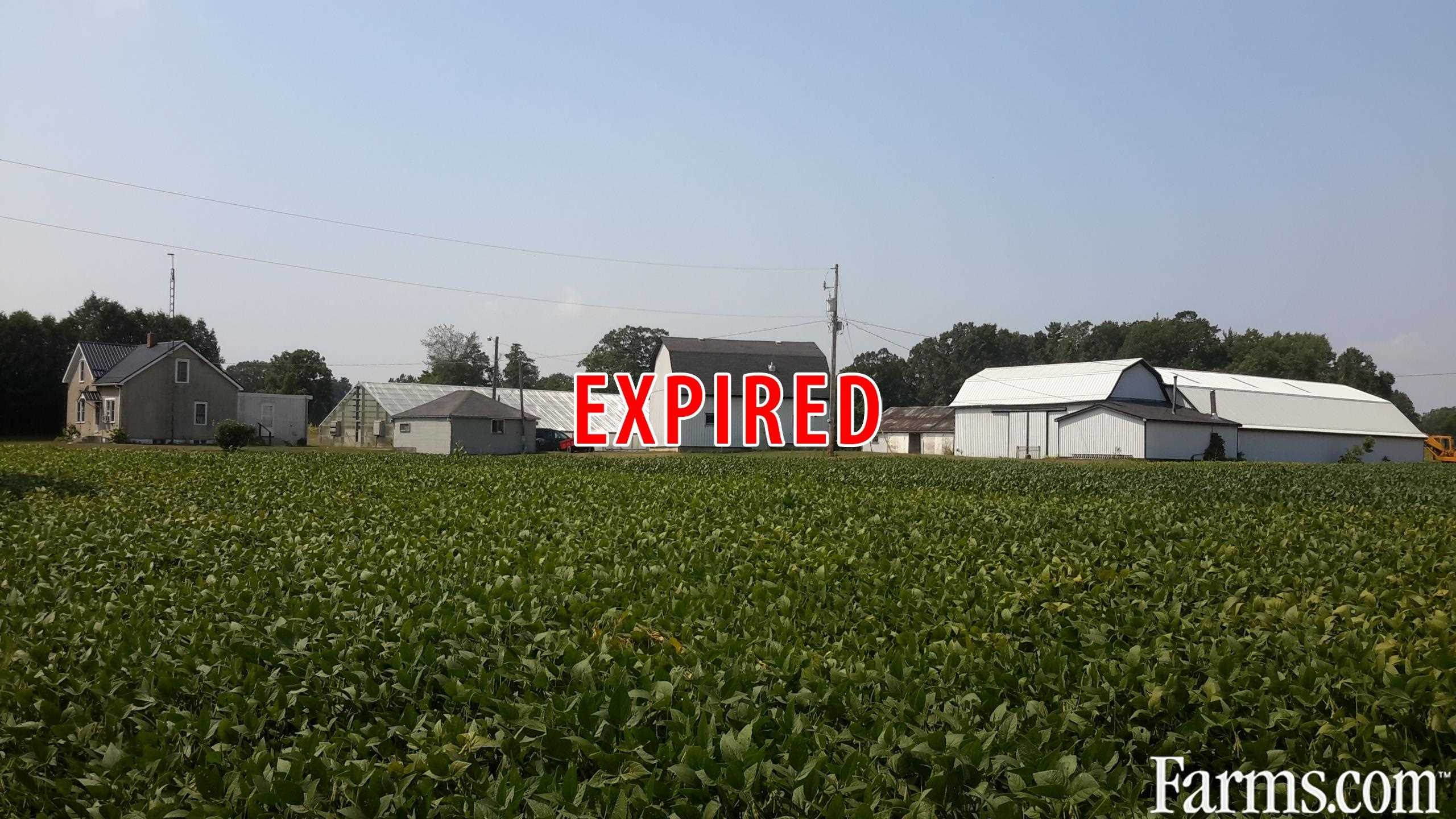 Former Tobacco Farm for Sale, Langton, Ontario