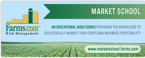 Market School