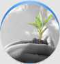 Agricom Agricom