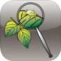 Aphid Advisor Aphid Advisor