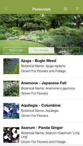 Armitage's_Greatest_Perennials_and_Annuals