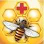 Bee Health