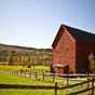 Beef Cattle EPDs Beef Cattle EPDs