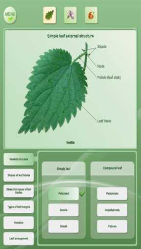 Biology_-_Plant_handbook_Free