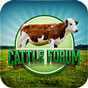 Cattle Forum