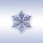 ColdSnap! Frost Alarm App ColdSnap! Frost Alarm App