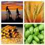 Commodity Prices Commodity Prices