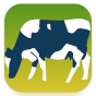 Dairy Farm Grazing Calculator