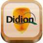 Didion Didion
