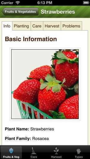 Essential_Garden_Guide_Lite_-_Grow_Perfect_Vegetables_&_Fruits