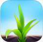 FieldView FieldView