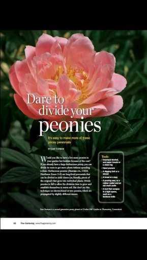 Fine_Gardening_Magazine