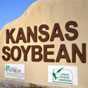 Kansas Soybean