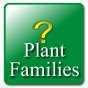 Key: Plant Families