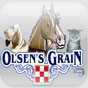 Olsen's Grain