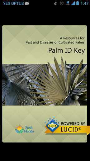 Palm_ID_Key