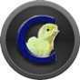 Poultry Calculators Poultry Calculators