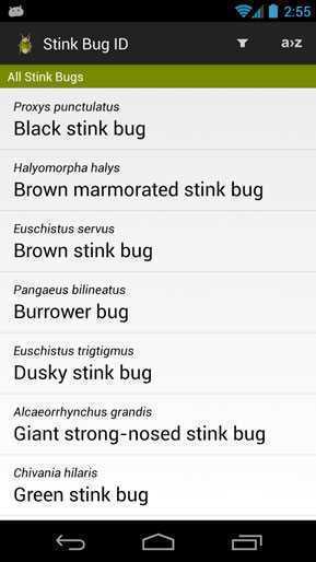 SE_Agricultural_Stink_Bug_ID