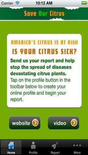 Save_Our_Citrus