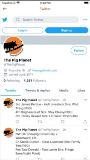 The_Pig_Planet