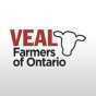 Veal Market Report