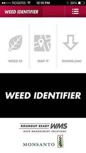 Weed_ID