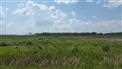 Recreation or pasture land for Sale, Pulp River, Manitoba