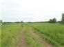 Bare Land for Sale, Ethelbert, Manitoba