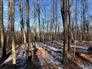Maple Syrup Farm for Sale, Highland Grove, Ontario