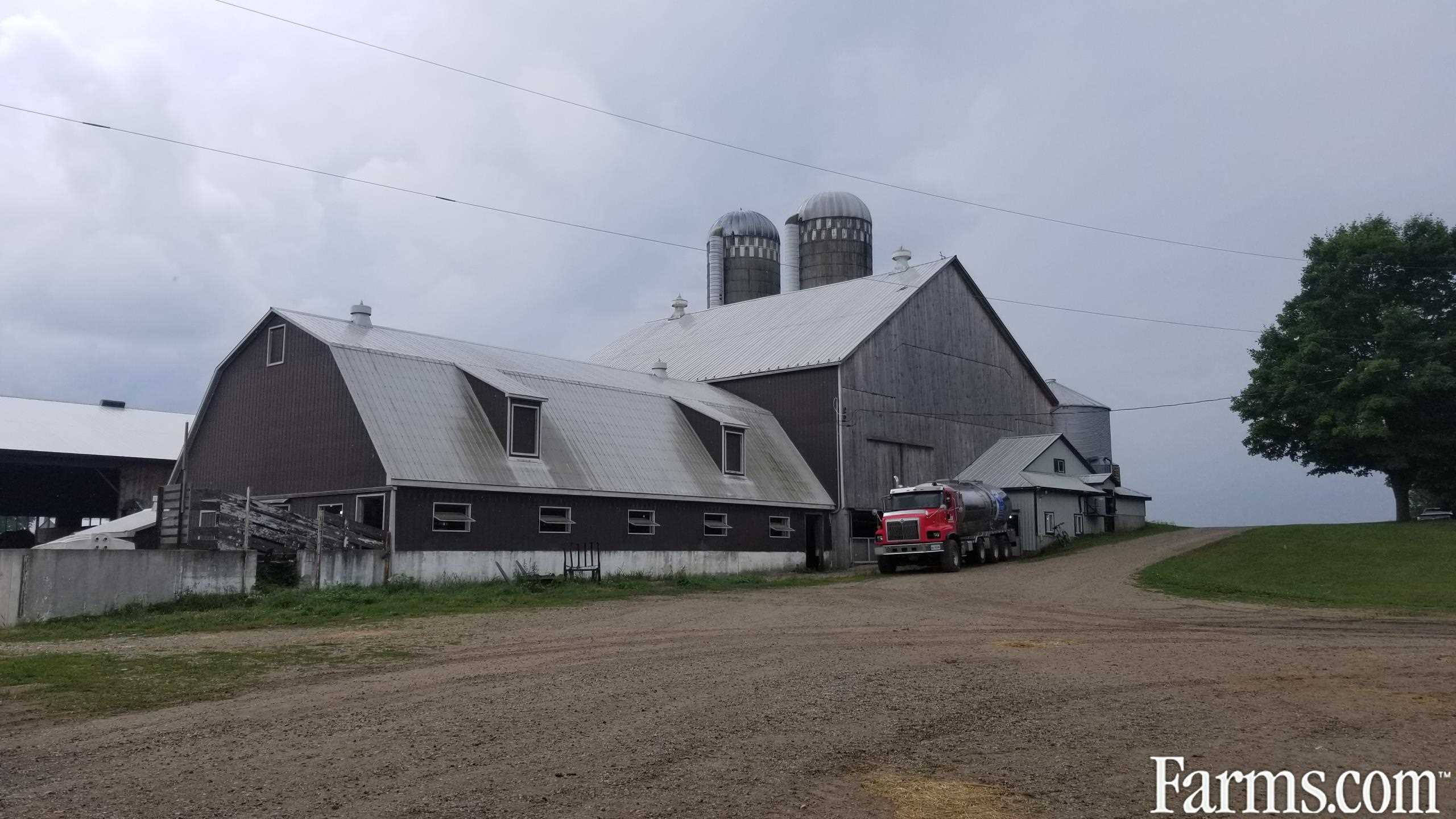 Sold Excellent Organic Dairy Farm For Sale Mount Forest