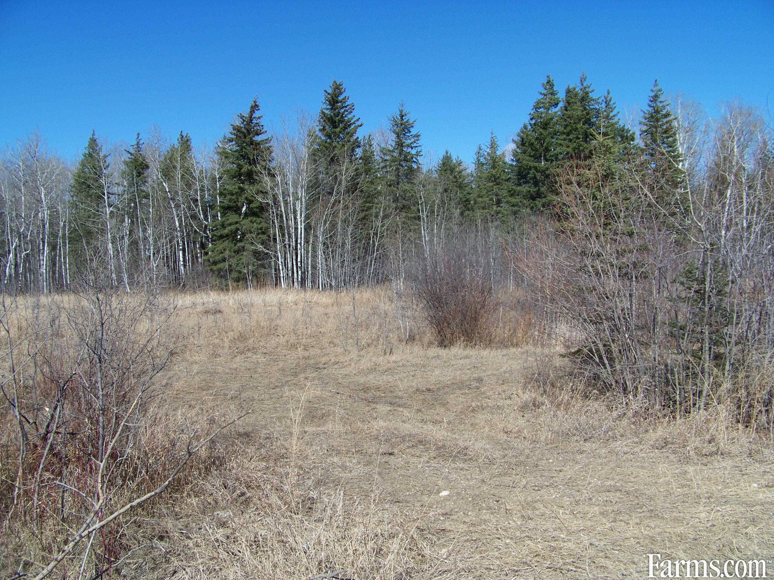 Bare Land for Sale, Ethelbert, Manitoba