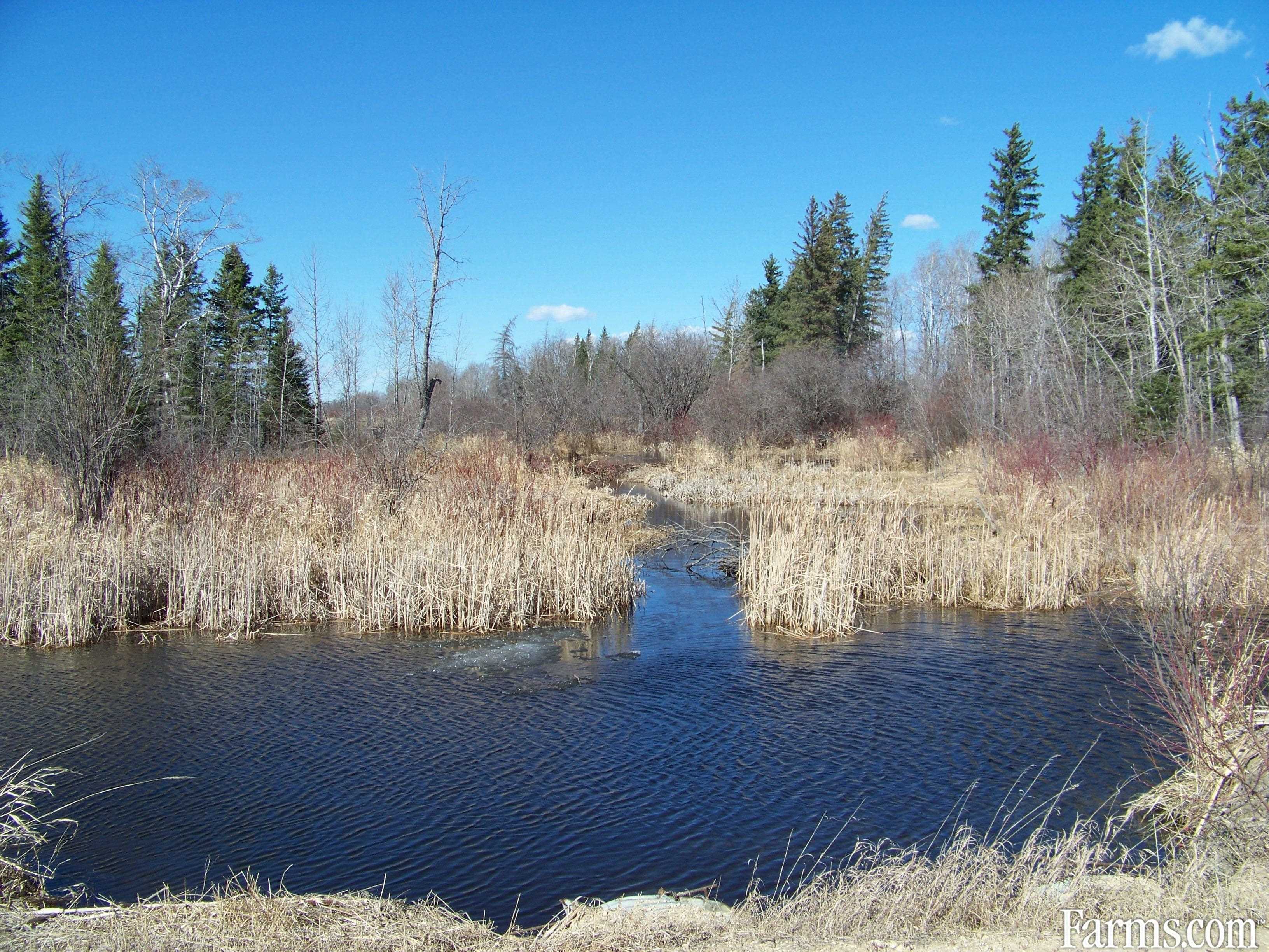 Bare Land for Sale, Ethelbert, Manitoba