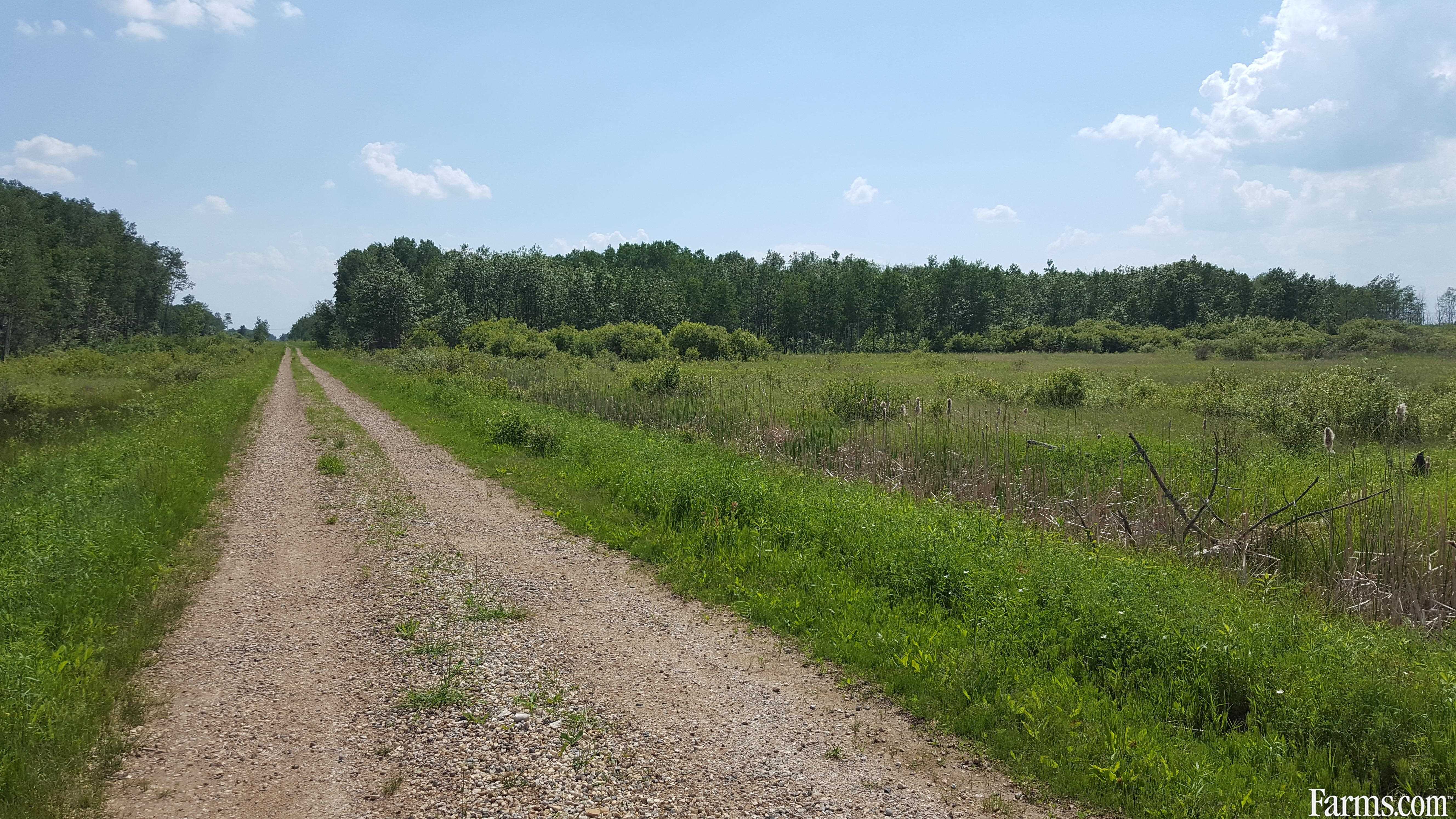 Recreation or pasture land for Sale, Pulp River, Manitoba