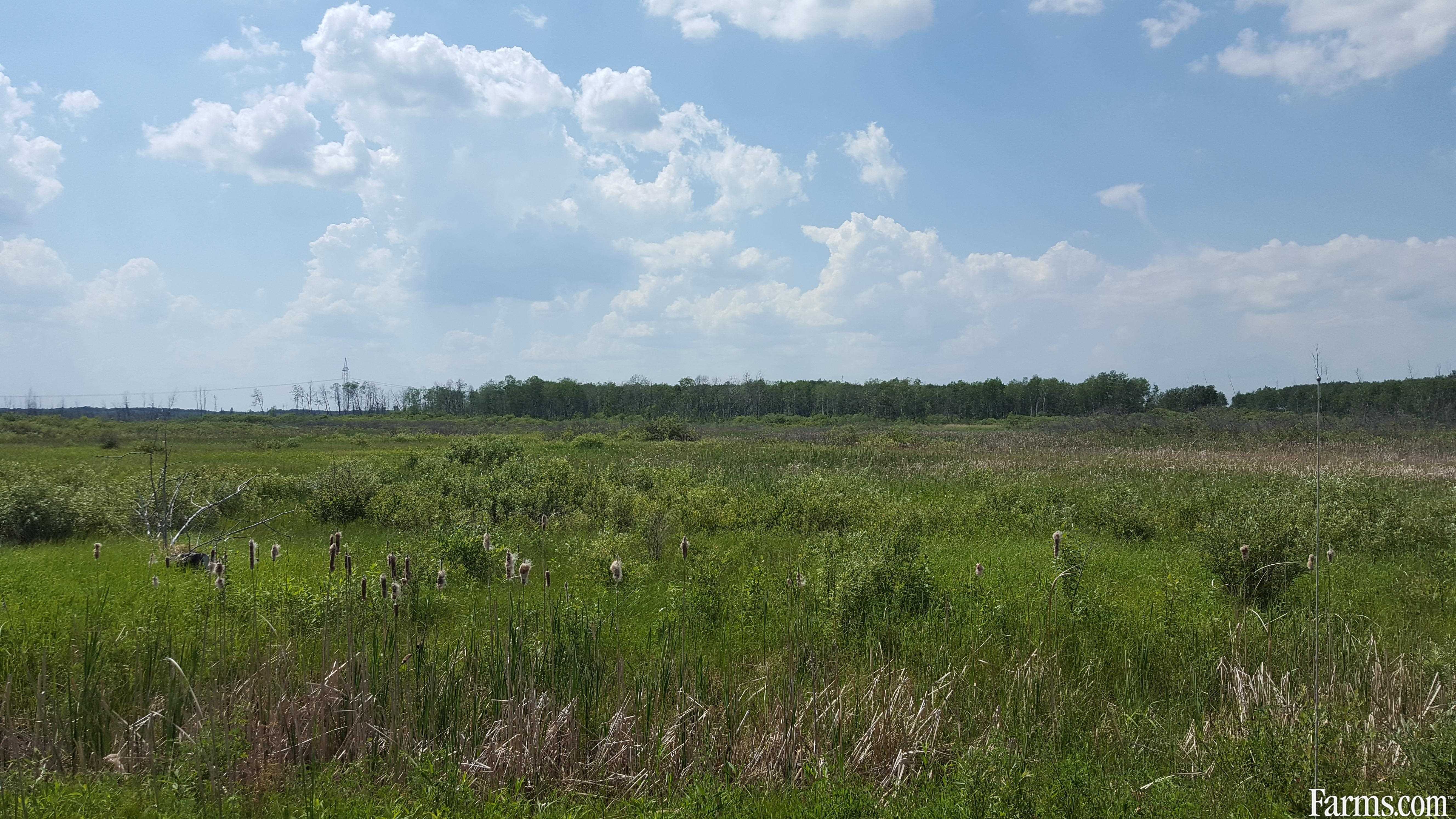 Recreation or pasture land for Sale, Pulp River, Manitoba