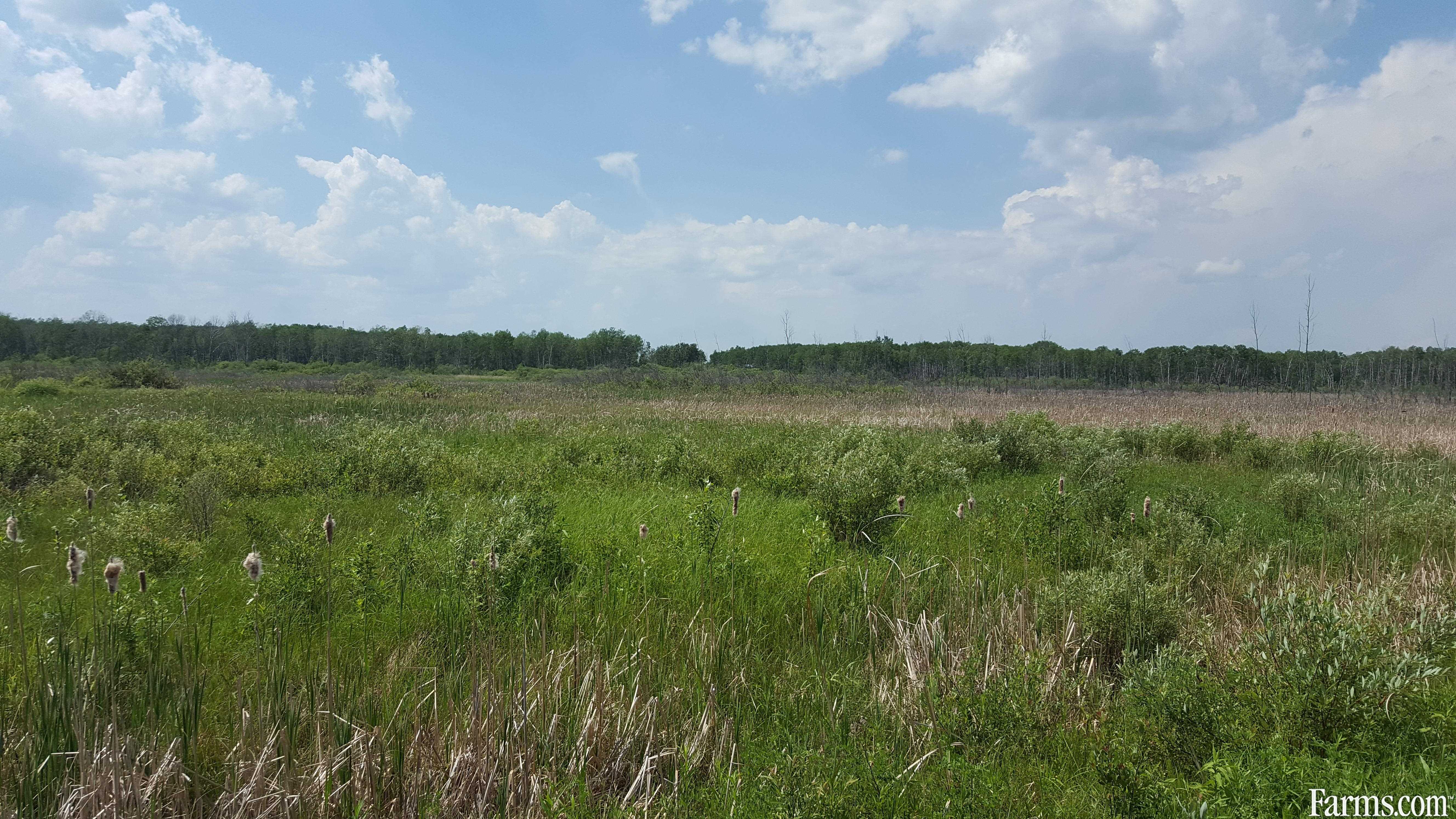 Recreation or pasture land for Sale, Pulp River, Manitoba