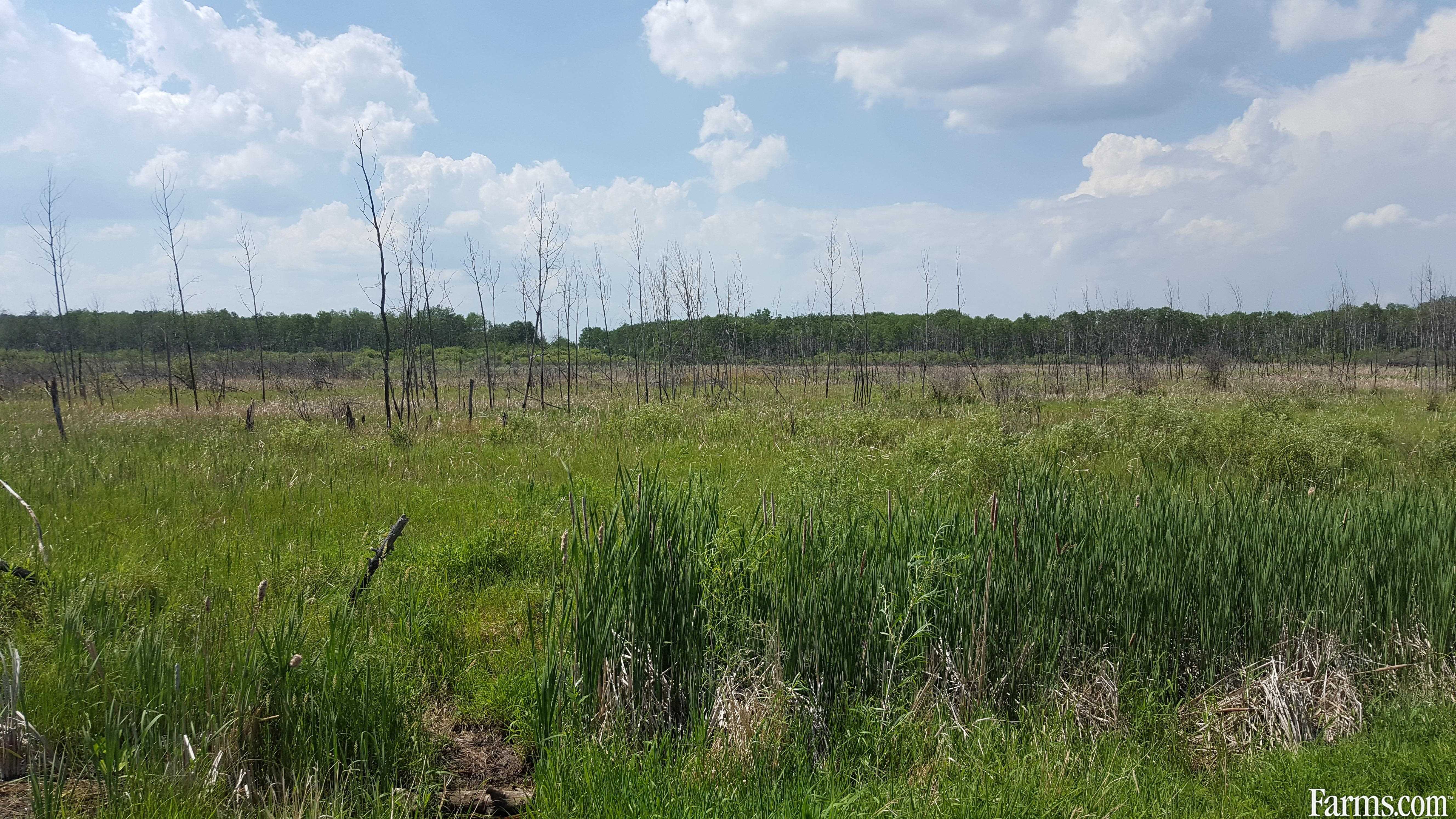 Recreation or pasture land for Sale, Pulp River, Manitoba