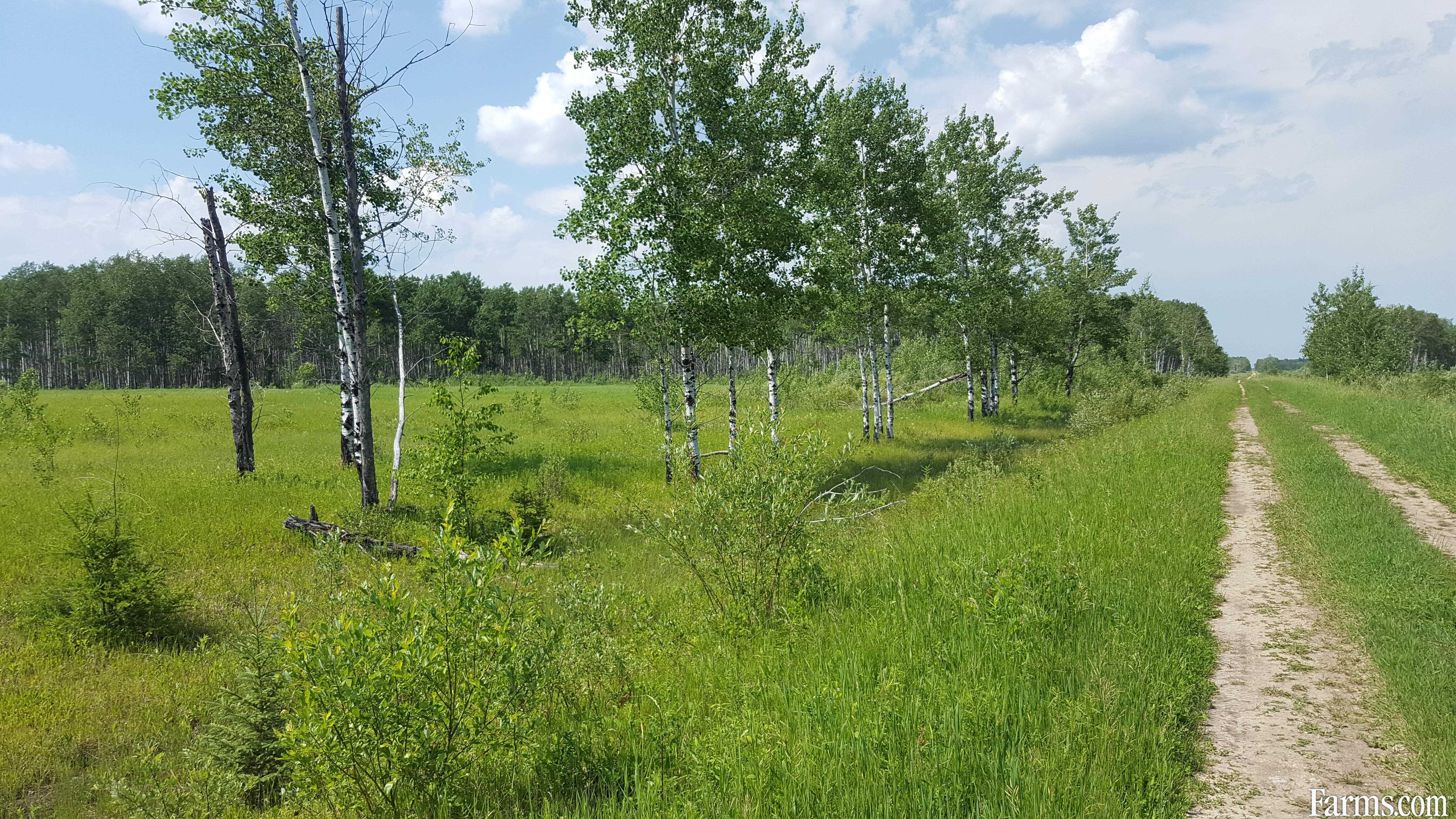 Recreation or pasture land for Sale, Pulp River, Manitoba