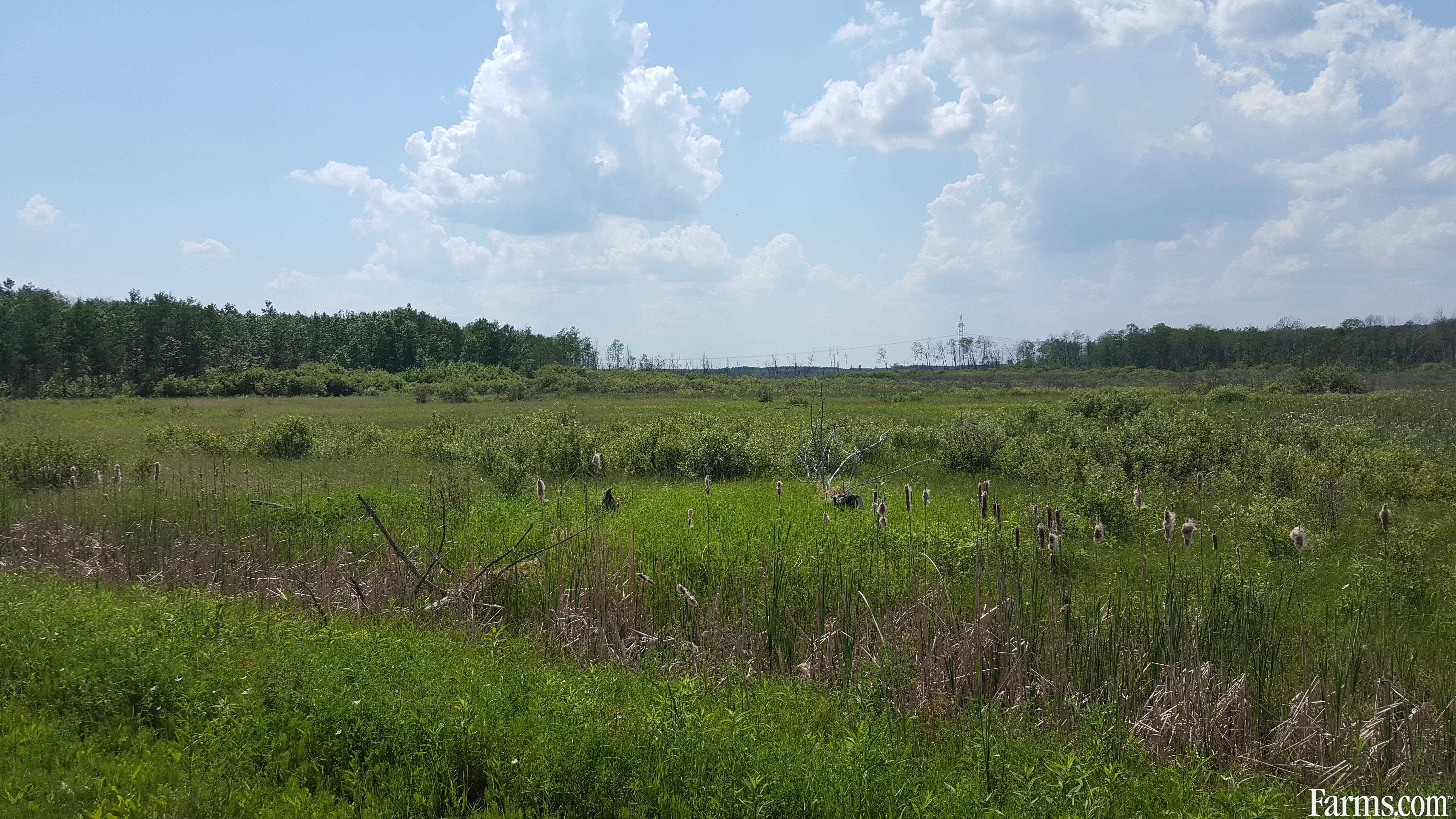 Recreation or pasture land for Sale, Pulp River, Manitoba
