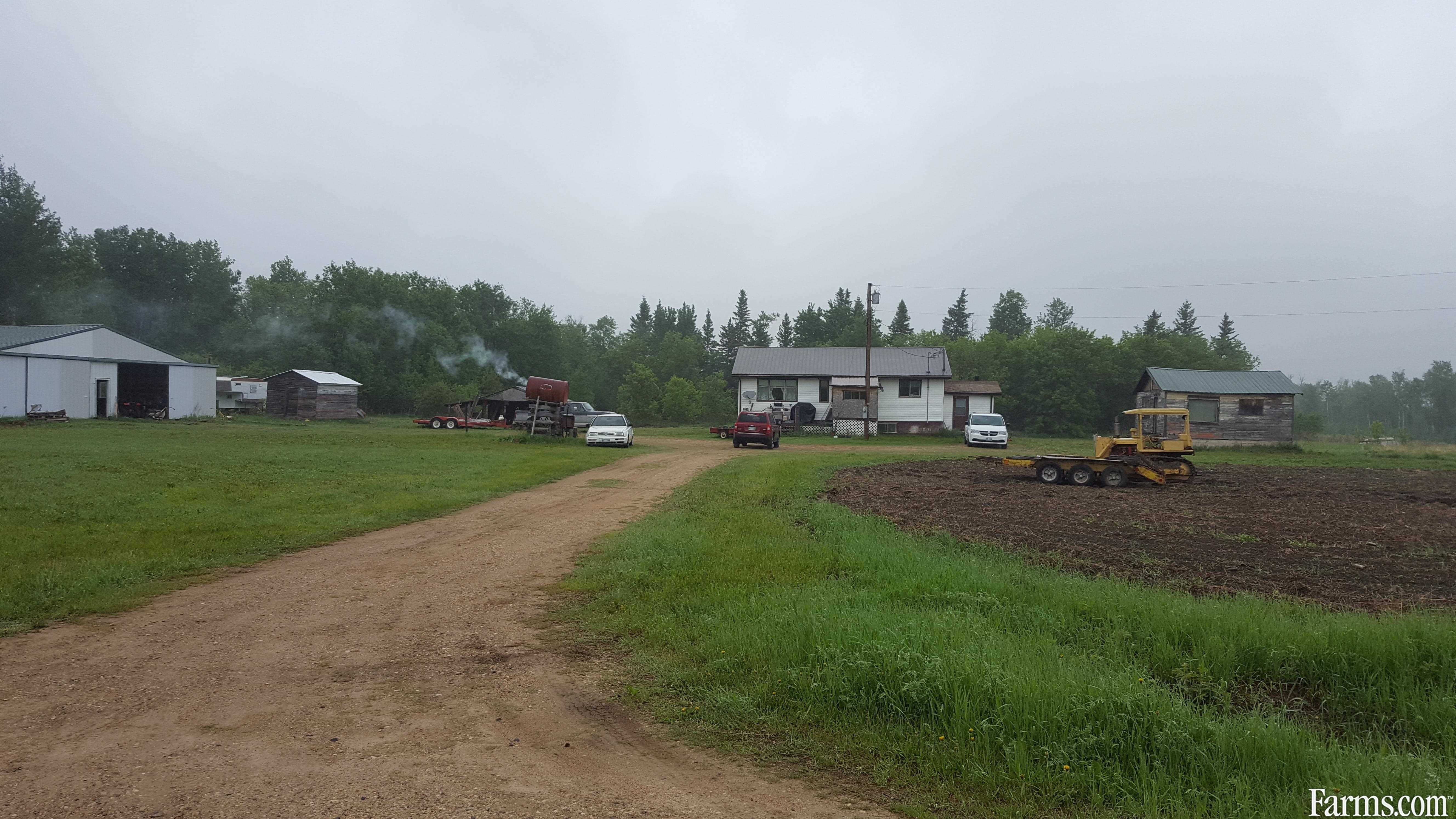 Hobby Farm for Sale, Pine River, Manitoba