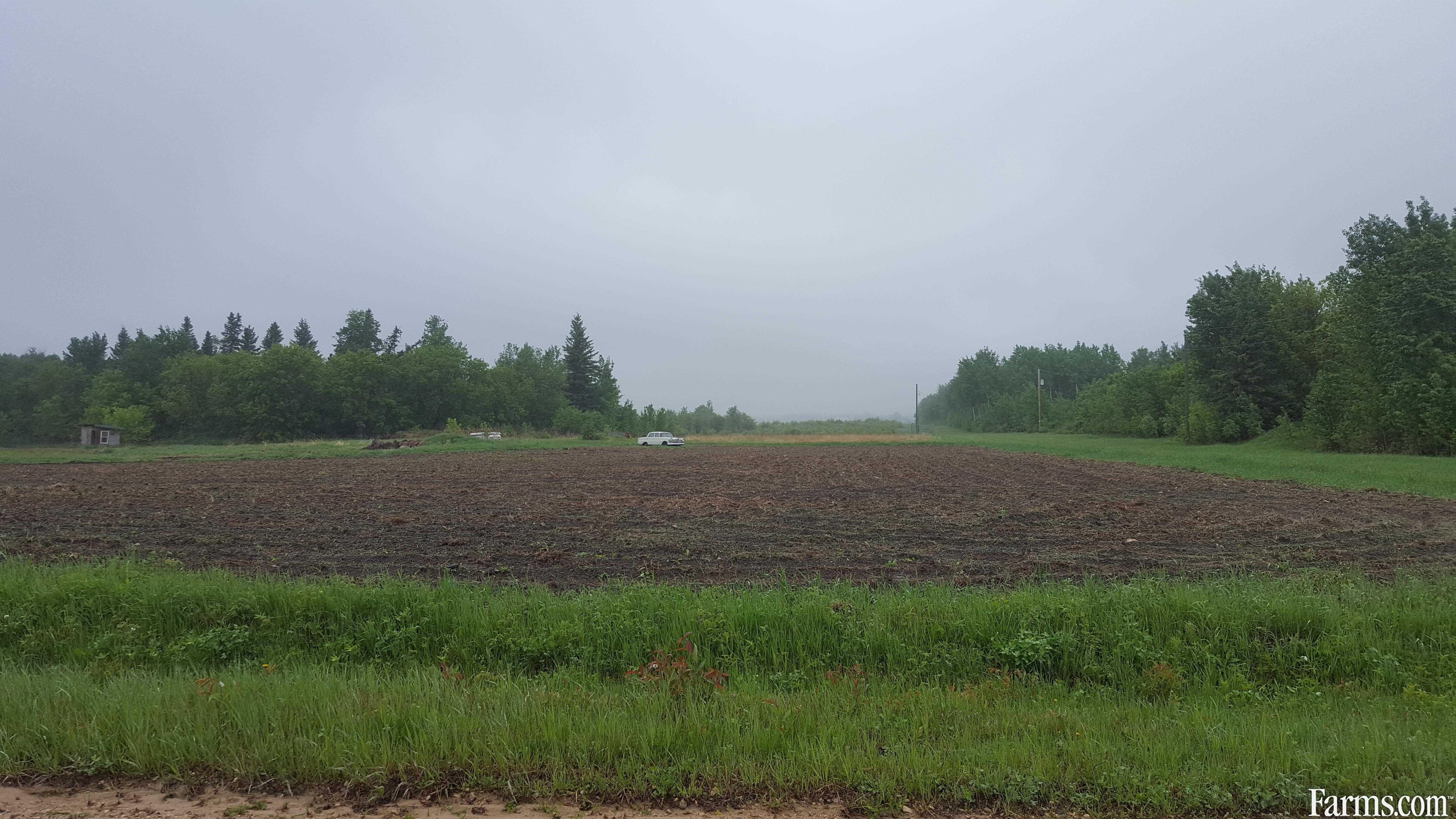 Hobby Farm for Sale, Pine River, Manitoba