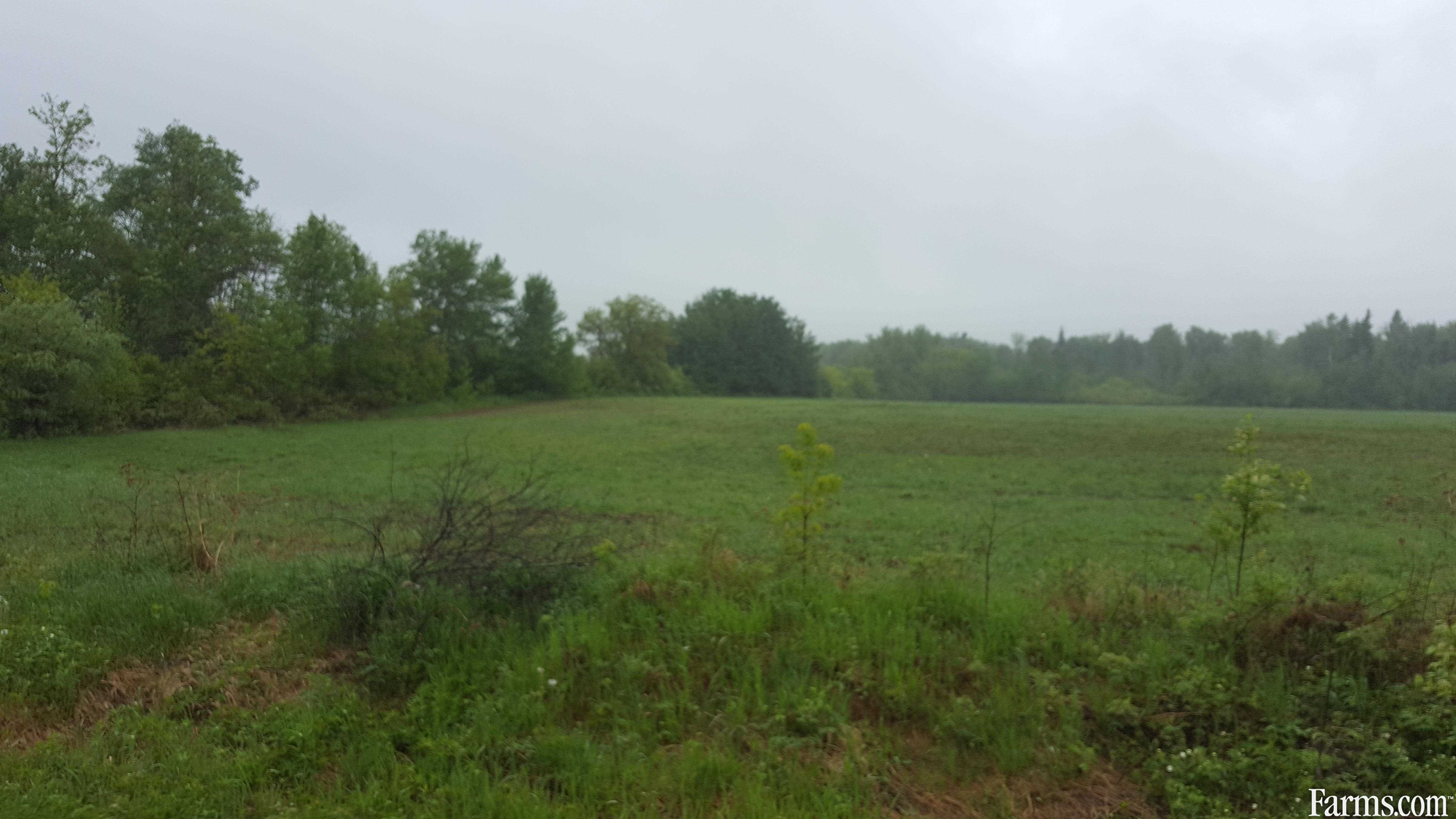 Hobby Farm for Sale, Pine River, Manitoba