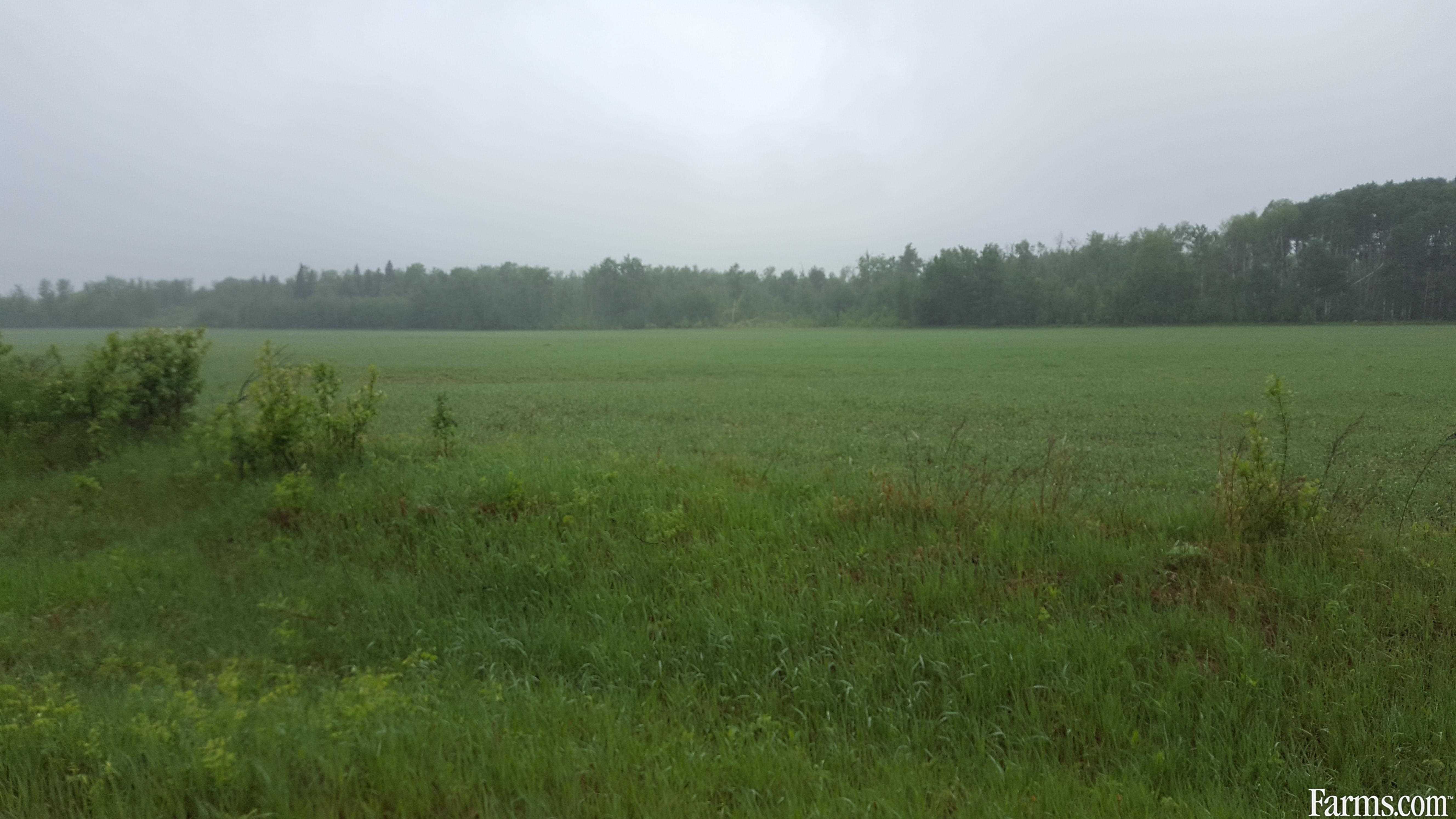 Hobby Farm for Sale, Pine River, Manitoba