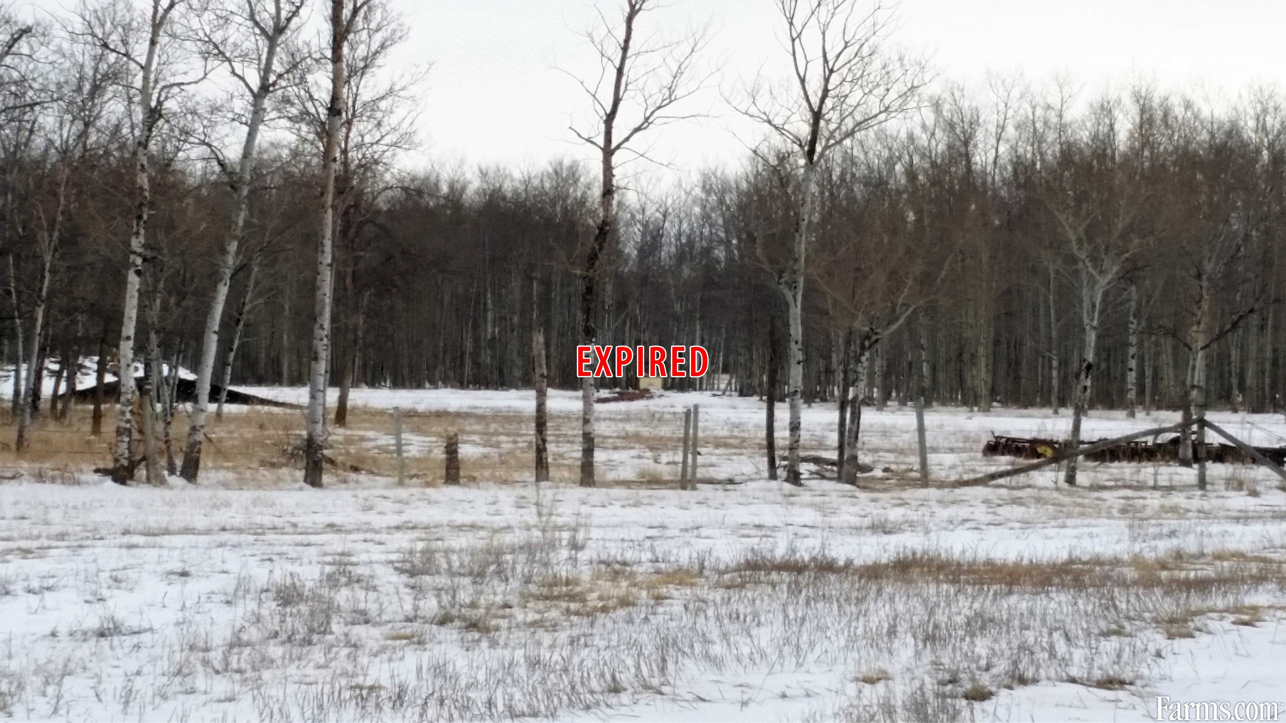 RM of Mossey River for Sale, Winnipegosis, Manitoba