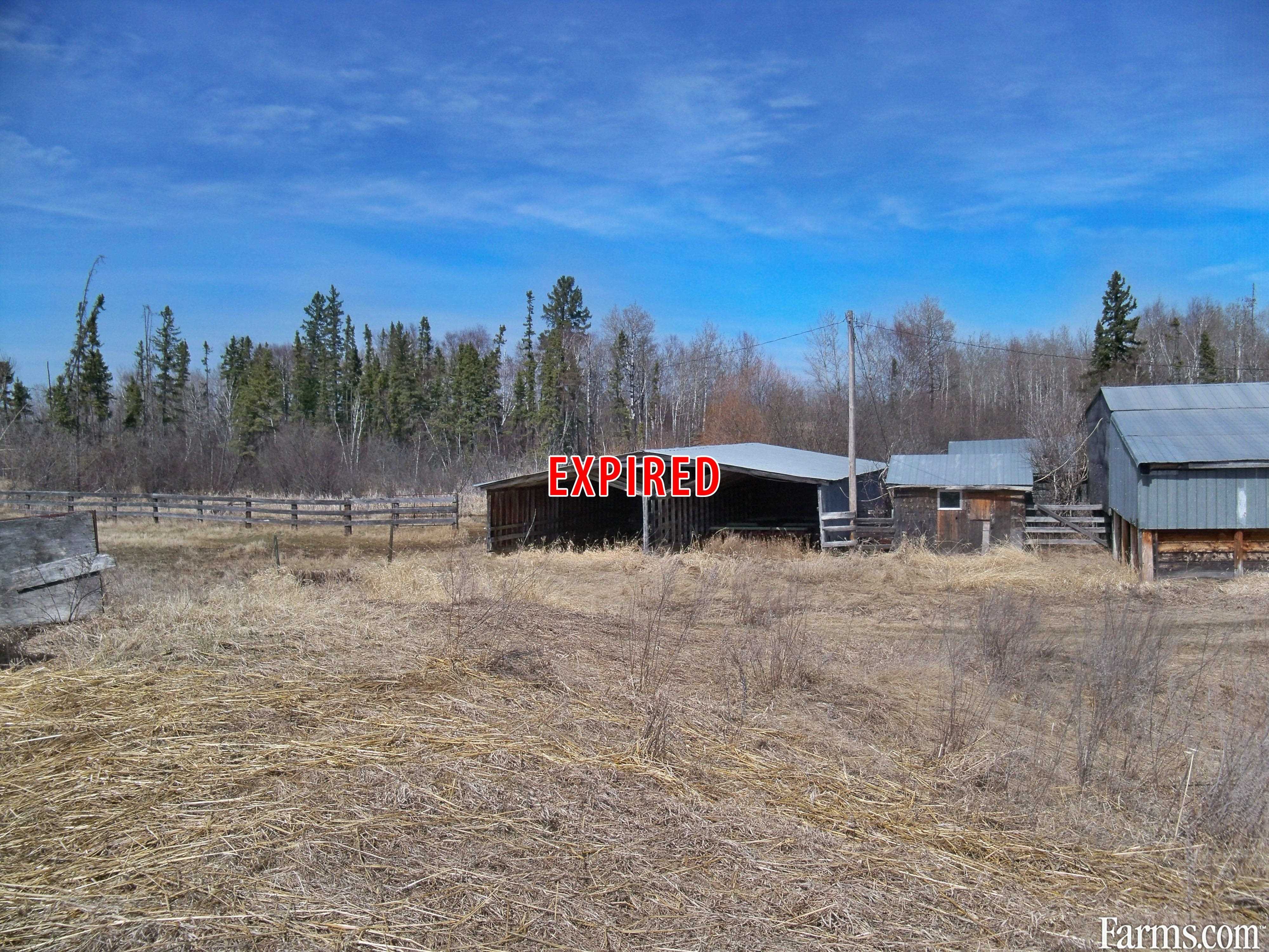 NE SE 31 29 22W for Sale, Ethelbert, Manitoba