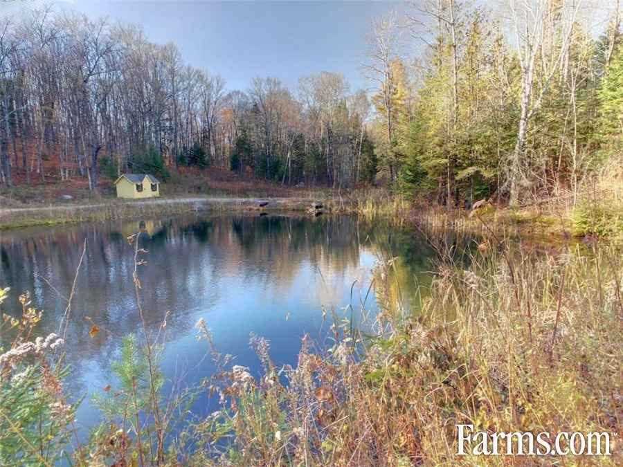 Maple Syrup Farm for Sale, Highland Grove, Ontario