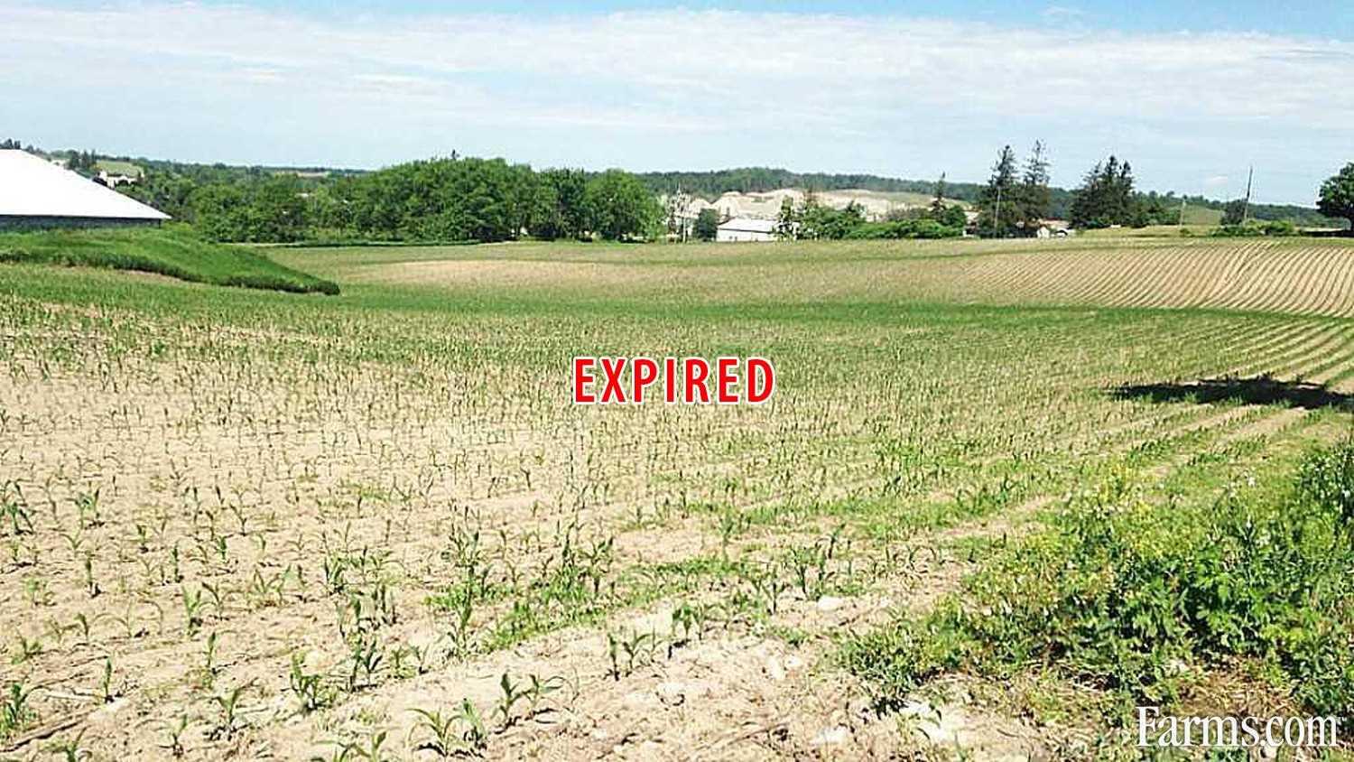 Hobby Farm for Sale, Kitchener, Ontario