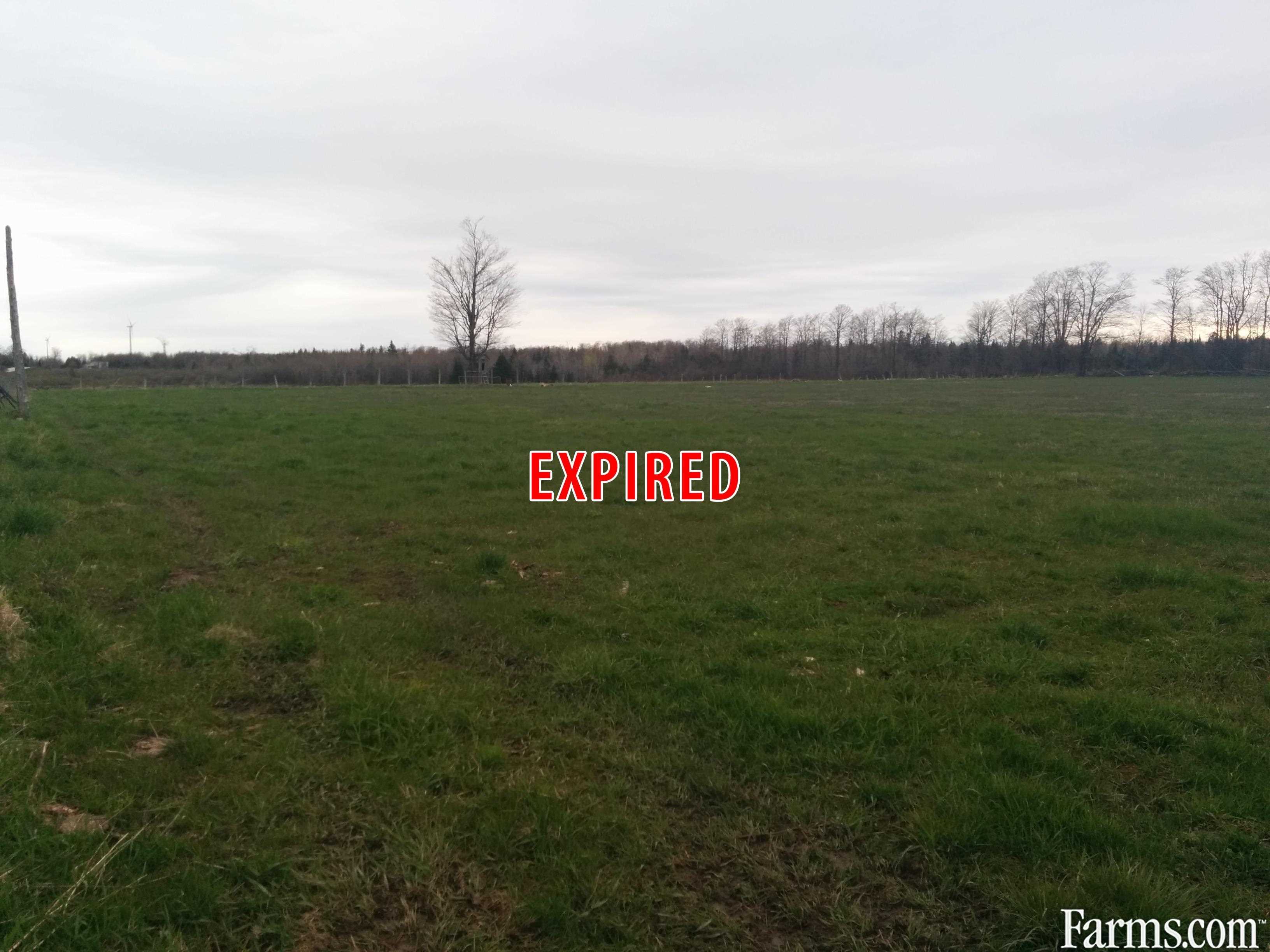 Hobby Farm for Sale, Dundalk, Ontario